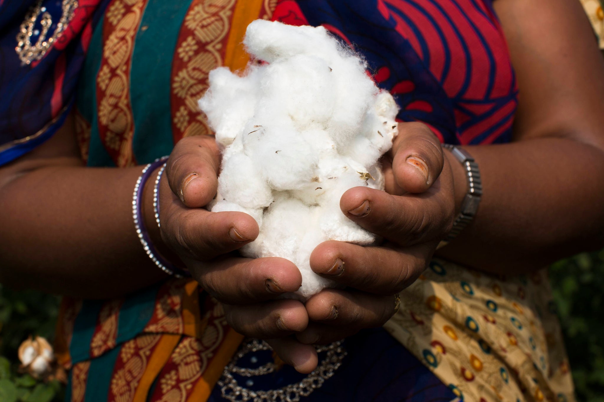 Why We Choose Organic Cotton