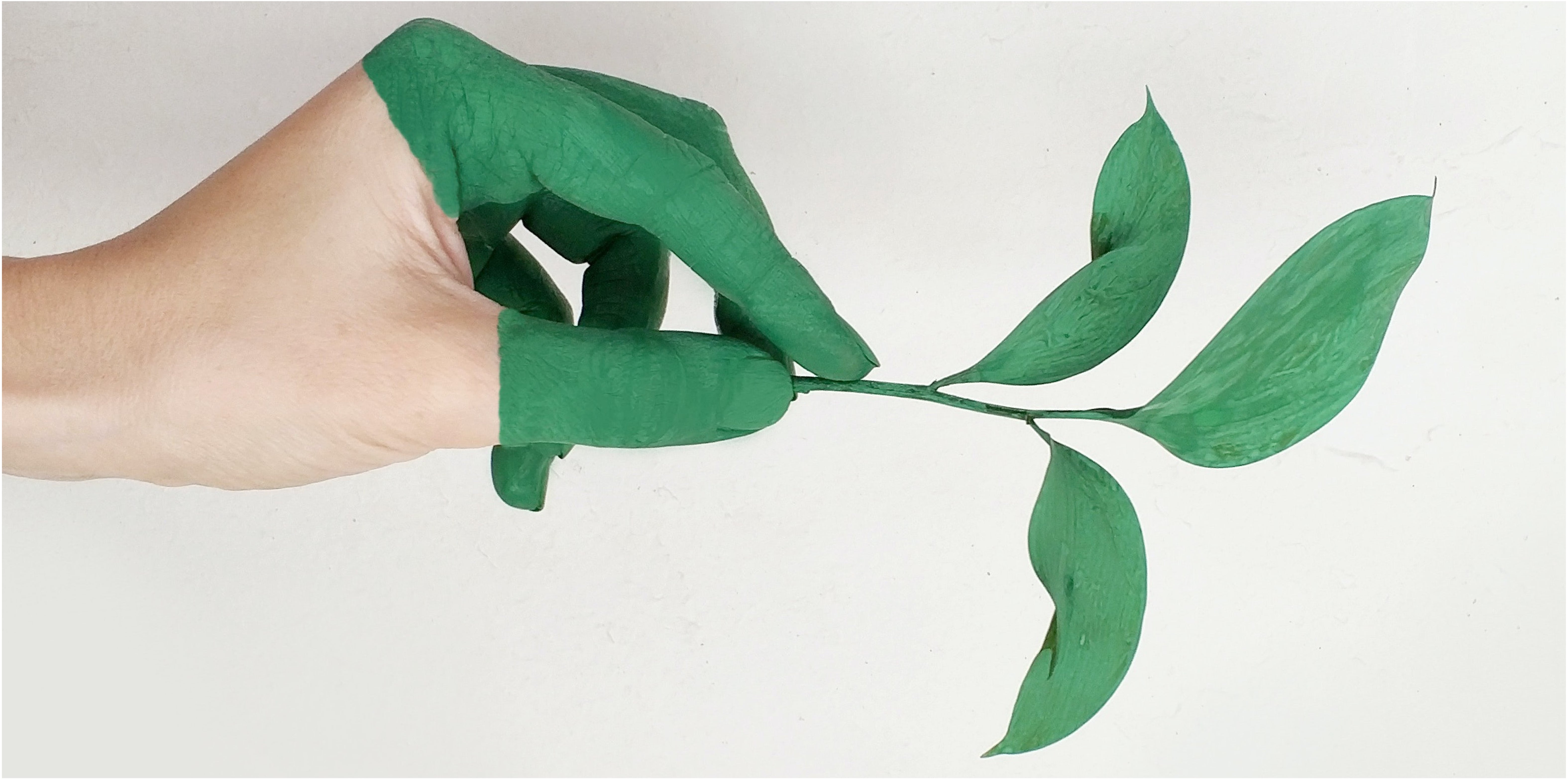 Greenwashing: what you need to know