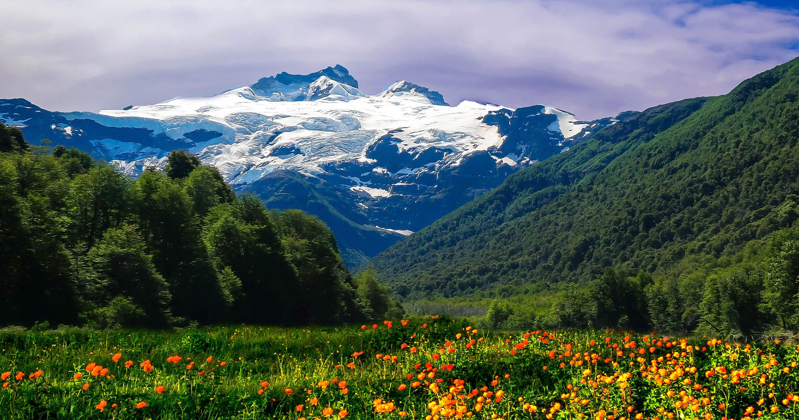 Protect the Planet
