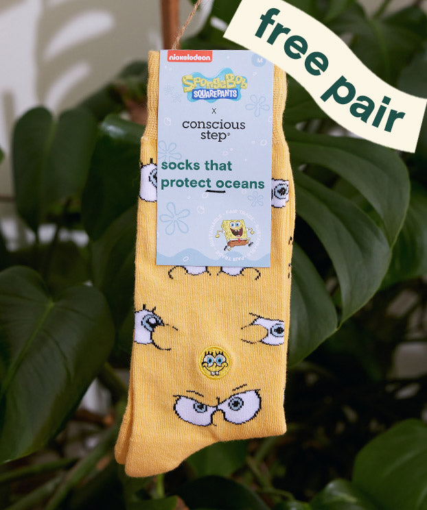 5 pairs of SpongeBob SquarePants Socks that Protect Oceans from Conscious Step.