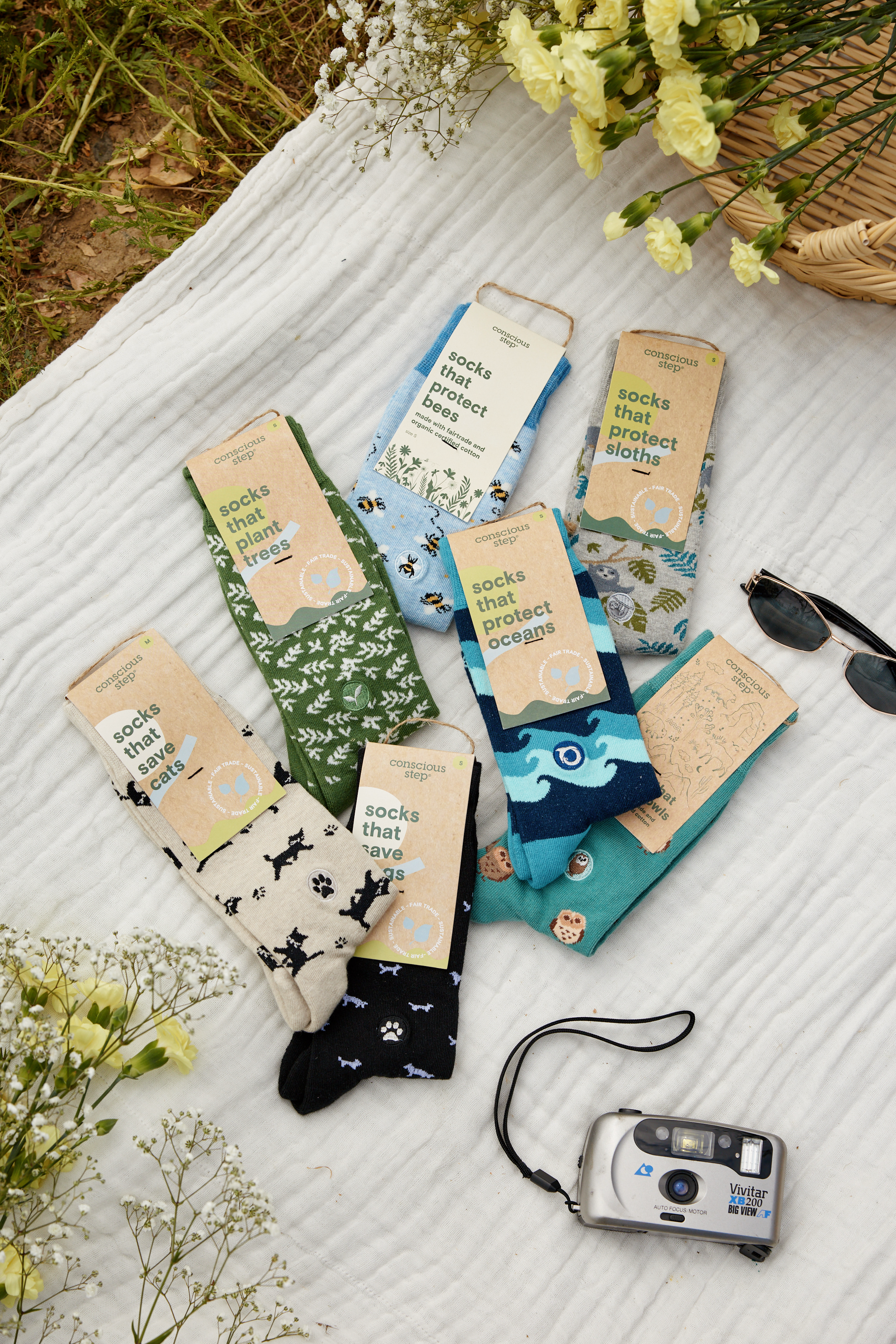 <p><strong>Welcome to <br/>Conscious Step!</strong></p>