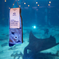 Socks that Protect Manta Rays - Conscious Step