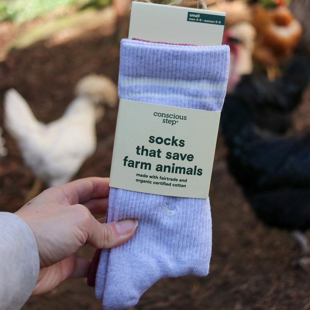 Comfort Crew Socks that Save Farm Animals - Conscious Step