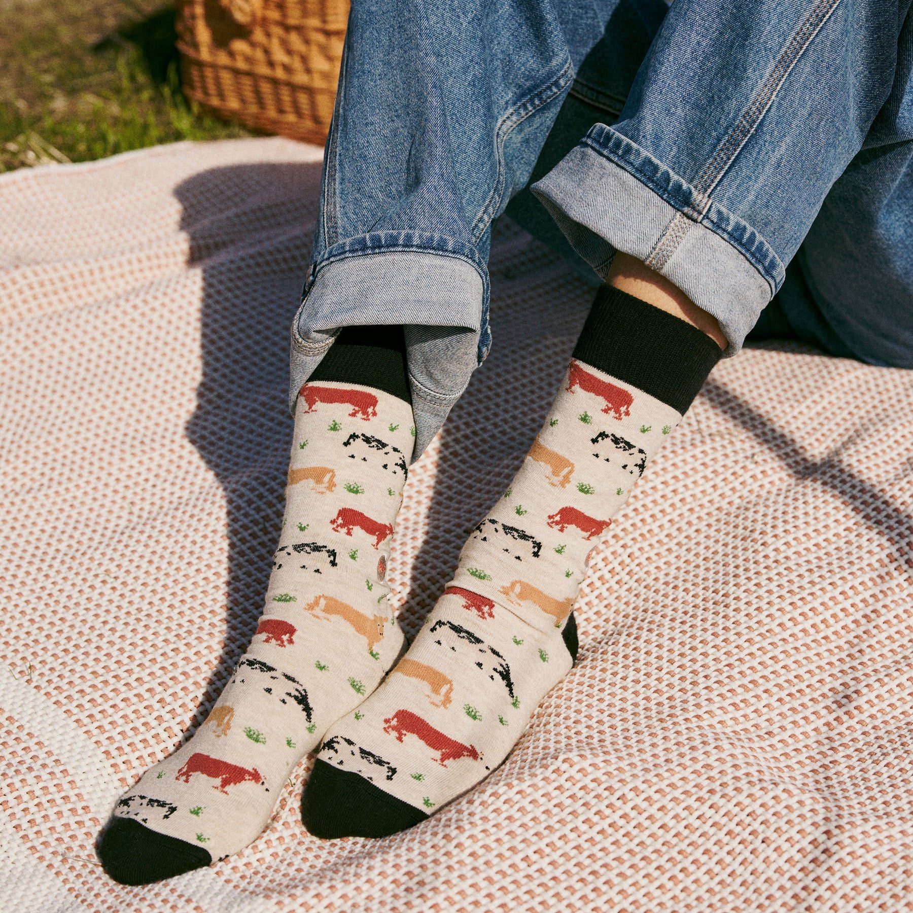 Socks that Save Cows - Conscious Step