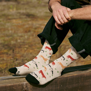 Socks that Save Cows