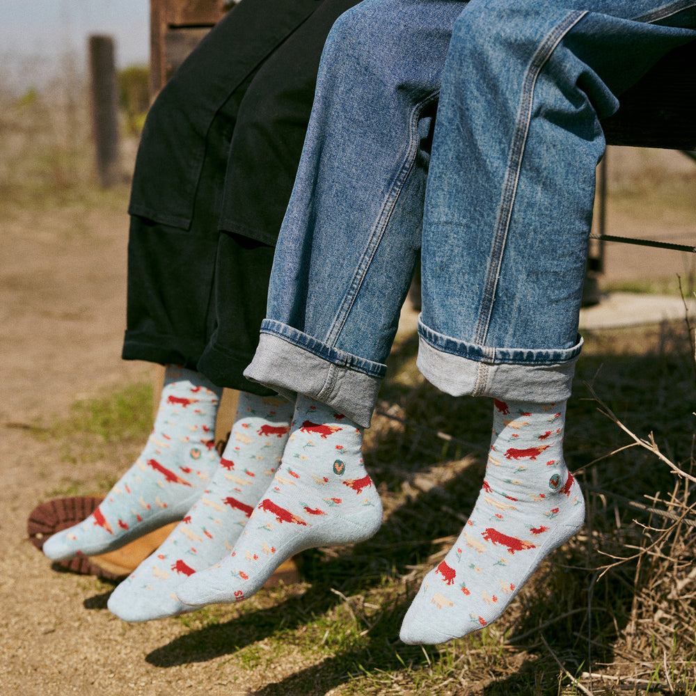 Socks that Save Farm Animals - Conscious Step