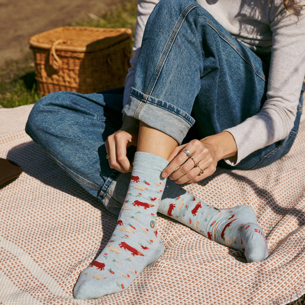 Socks that Save Farm Animals - Conscious Step