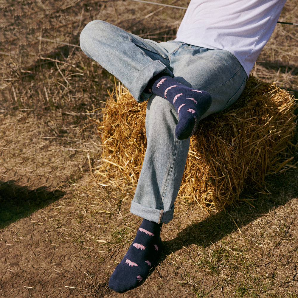 Socks that Save Pigs - Conscious Step