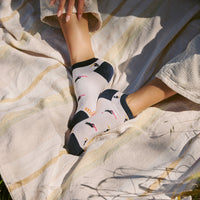 Socks that Protect Toucans - Conscious Step