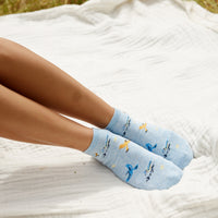 Socks that Protect Songbirds - Conscious Step