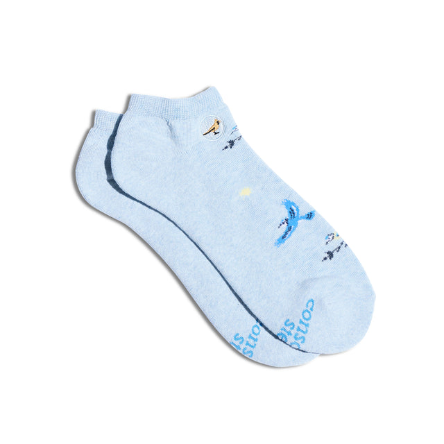 Socks that Protect Songbirds - Conscious Step