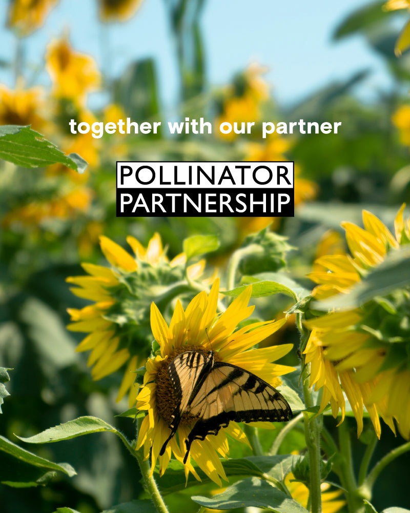 Protect Pollinators Collection | Support Pollinator Partnership