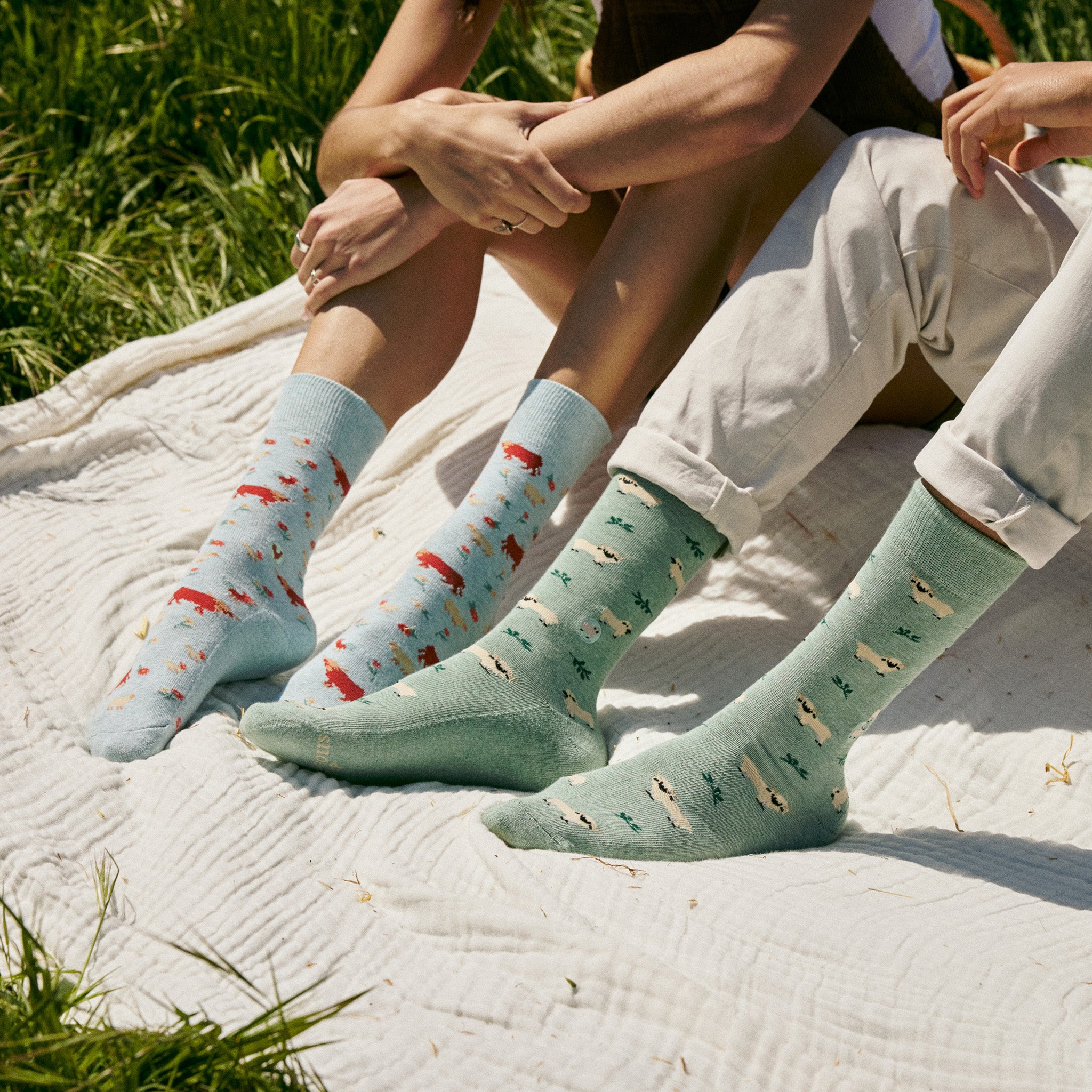 Socks that Save Sheep - Conscious Step