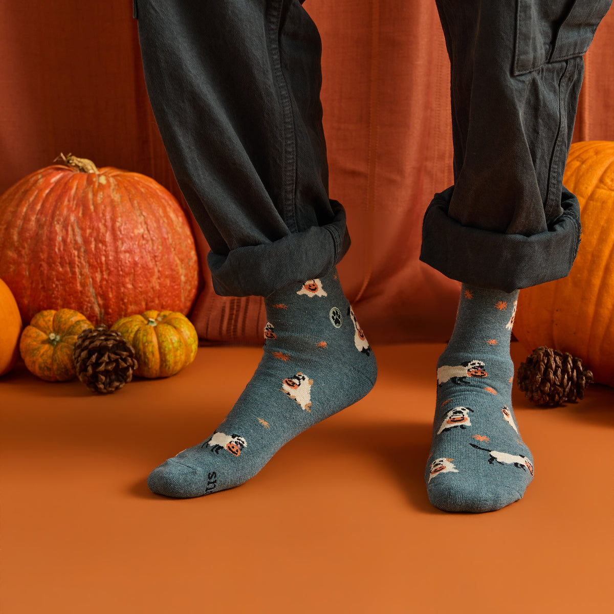 Socks that Save Dogs