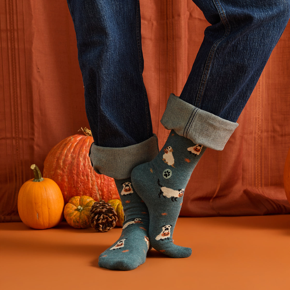 Socks that Save Dogs