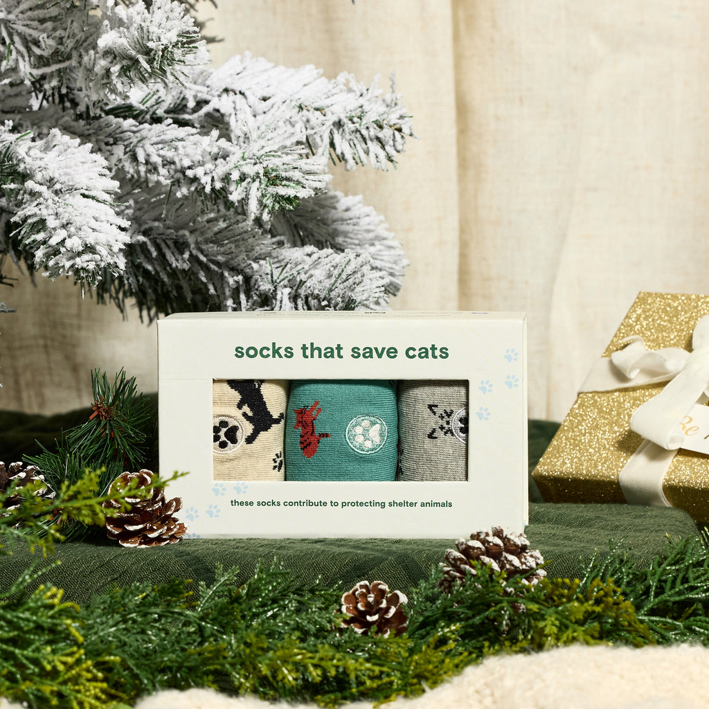 33 Best Gifts for Cat Lovers