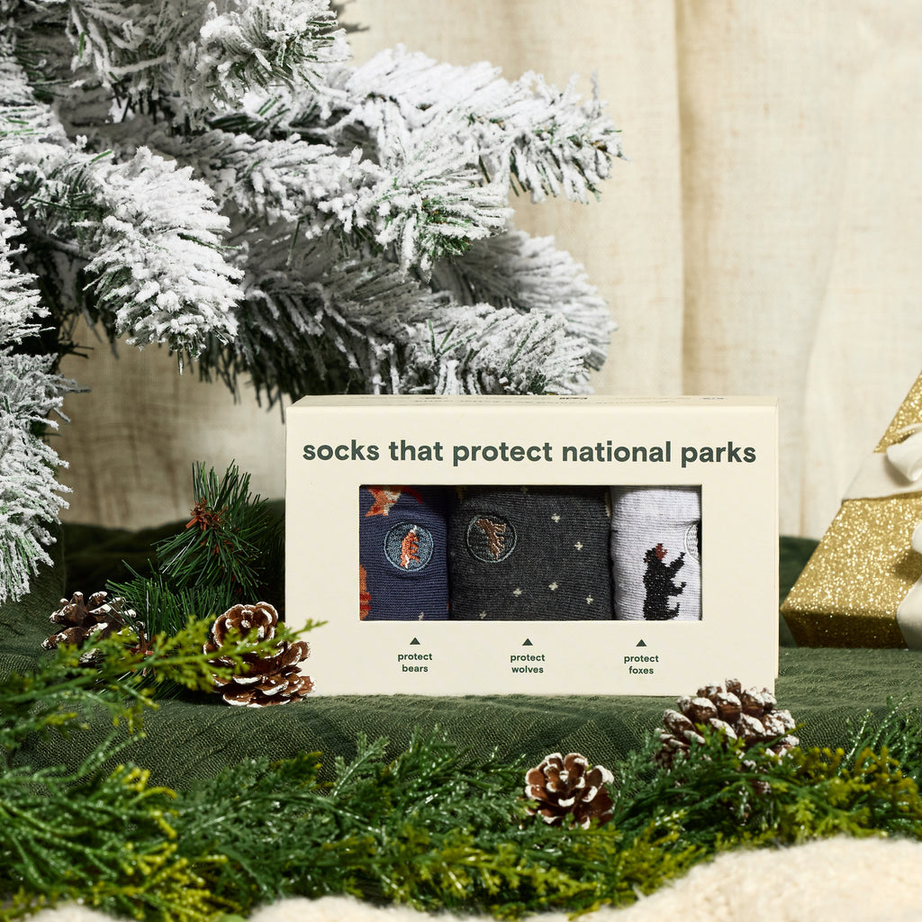 Protect National Parks Gift Box | Eco Friendly Gift Boxes