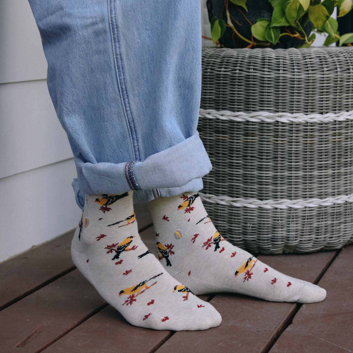 Socks that Protect Goldfinches