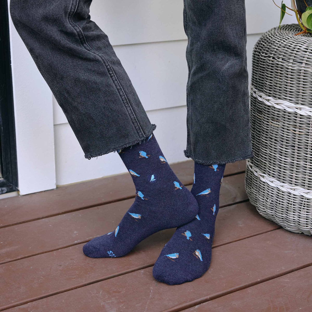 Socks that Protect Bluebirds