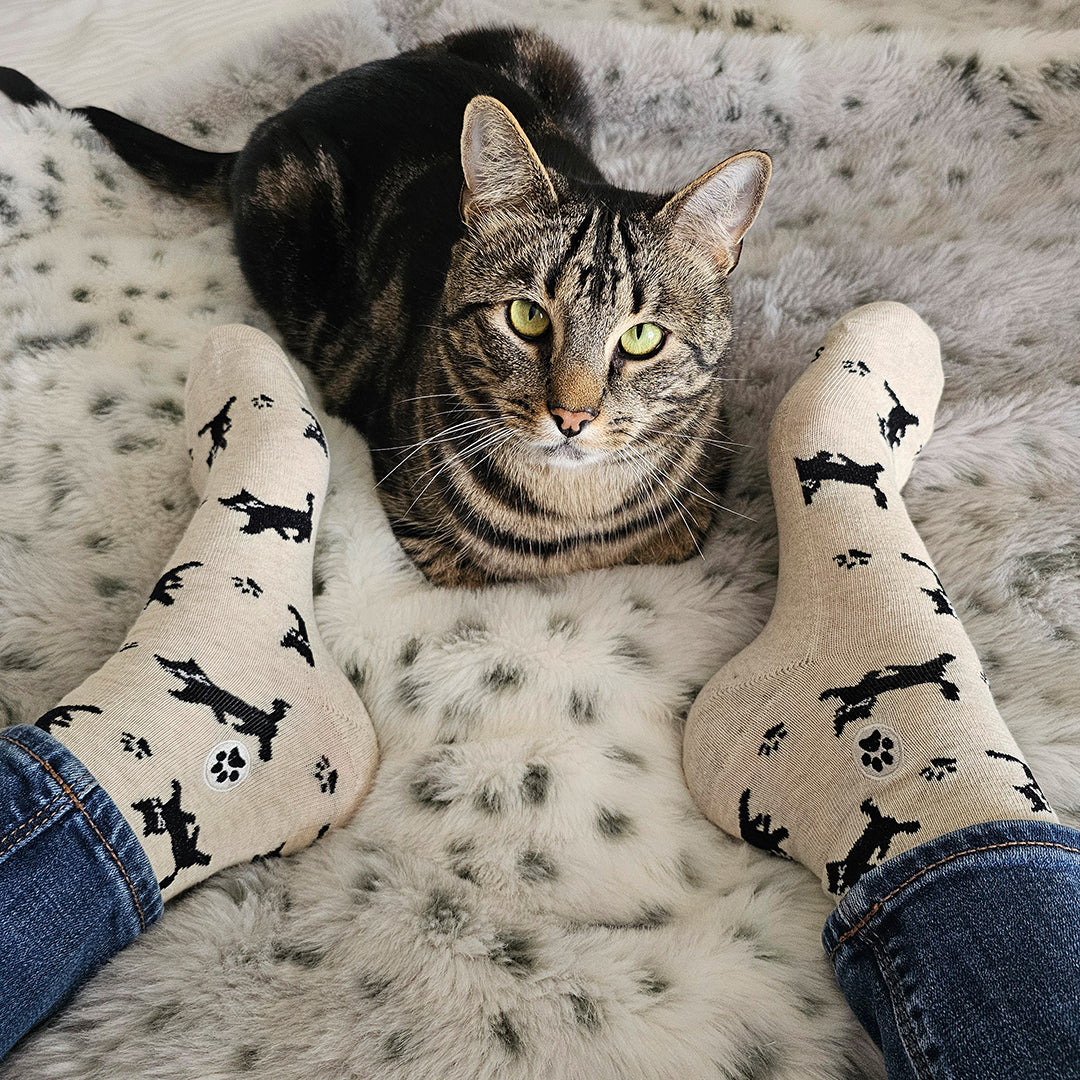 Socks that Save Cats - Conscious Step