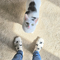 Socks that Save Cats - Conscious Step