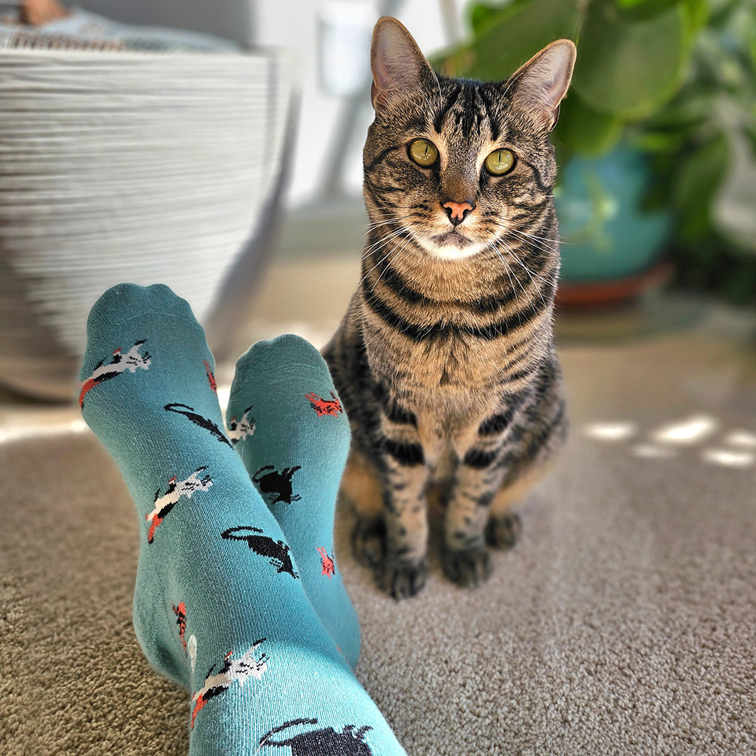 Socks that Save Cats - Conscious Step