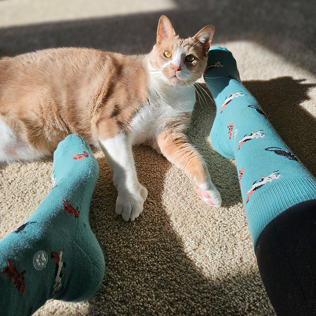 Socks that Save Cats