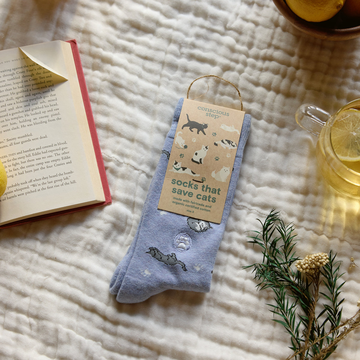 Socks that Save Cats - Conscious Step