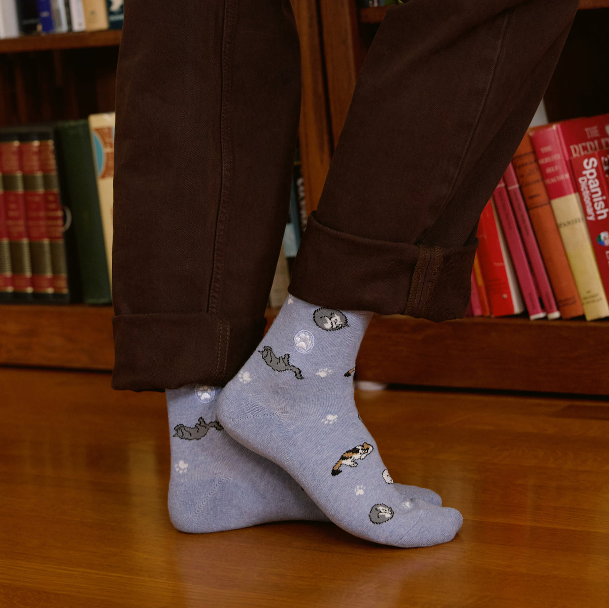 Socks that Save Cats - Conscious Step