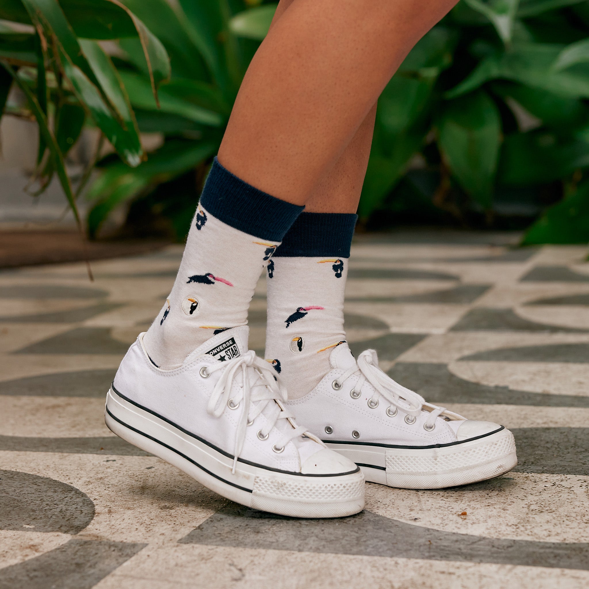 Socks that Protect Toucans - Conscious Step