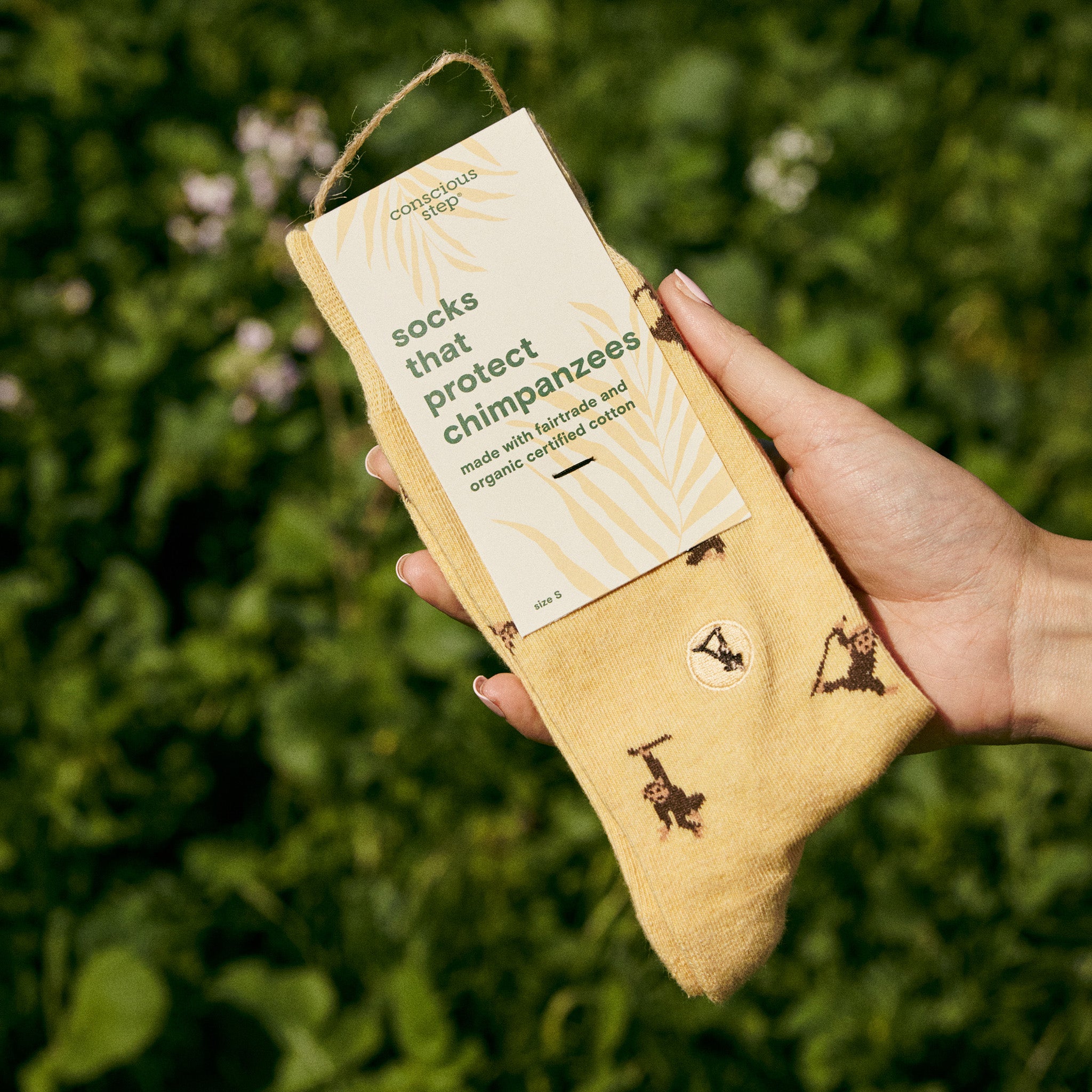 Socks that Protect Chimpanzees - Conscious Step