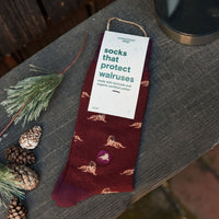 Socks that Protect Walruses - Conscious Step