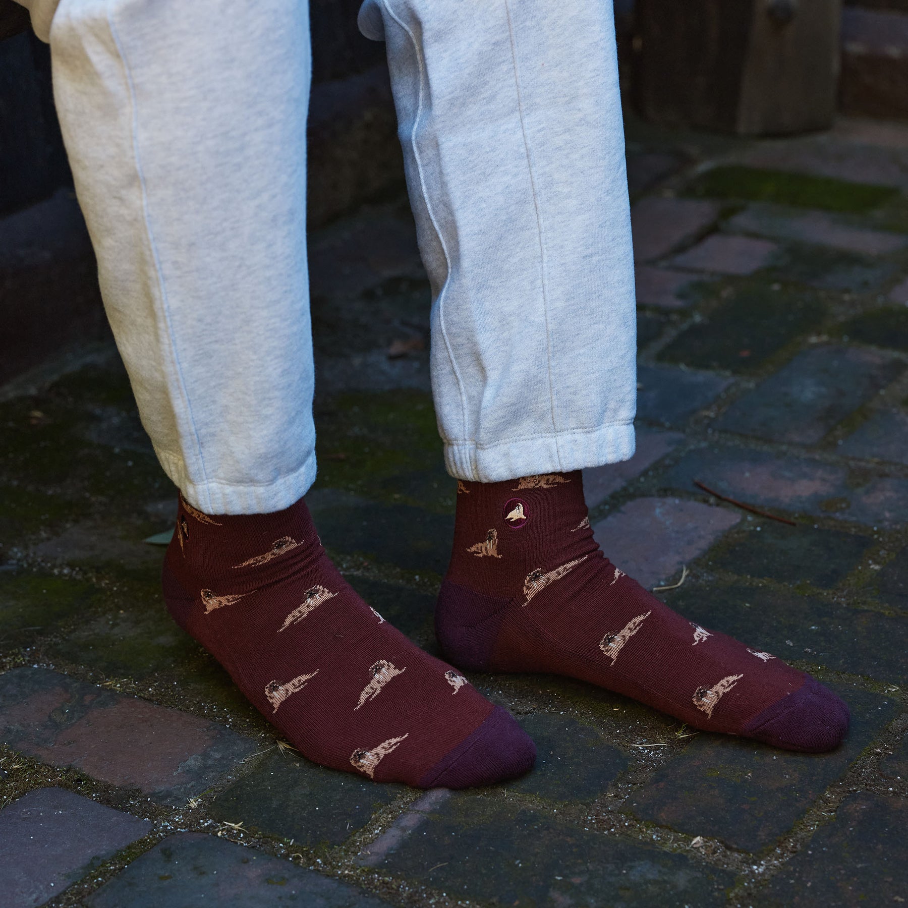 Socks that Protect Walruses - Conscious Step