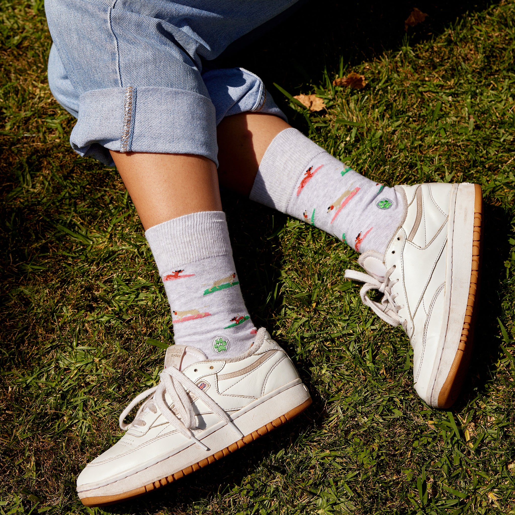 Socks that Save Dogs - Conscious Step