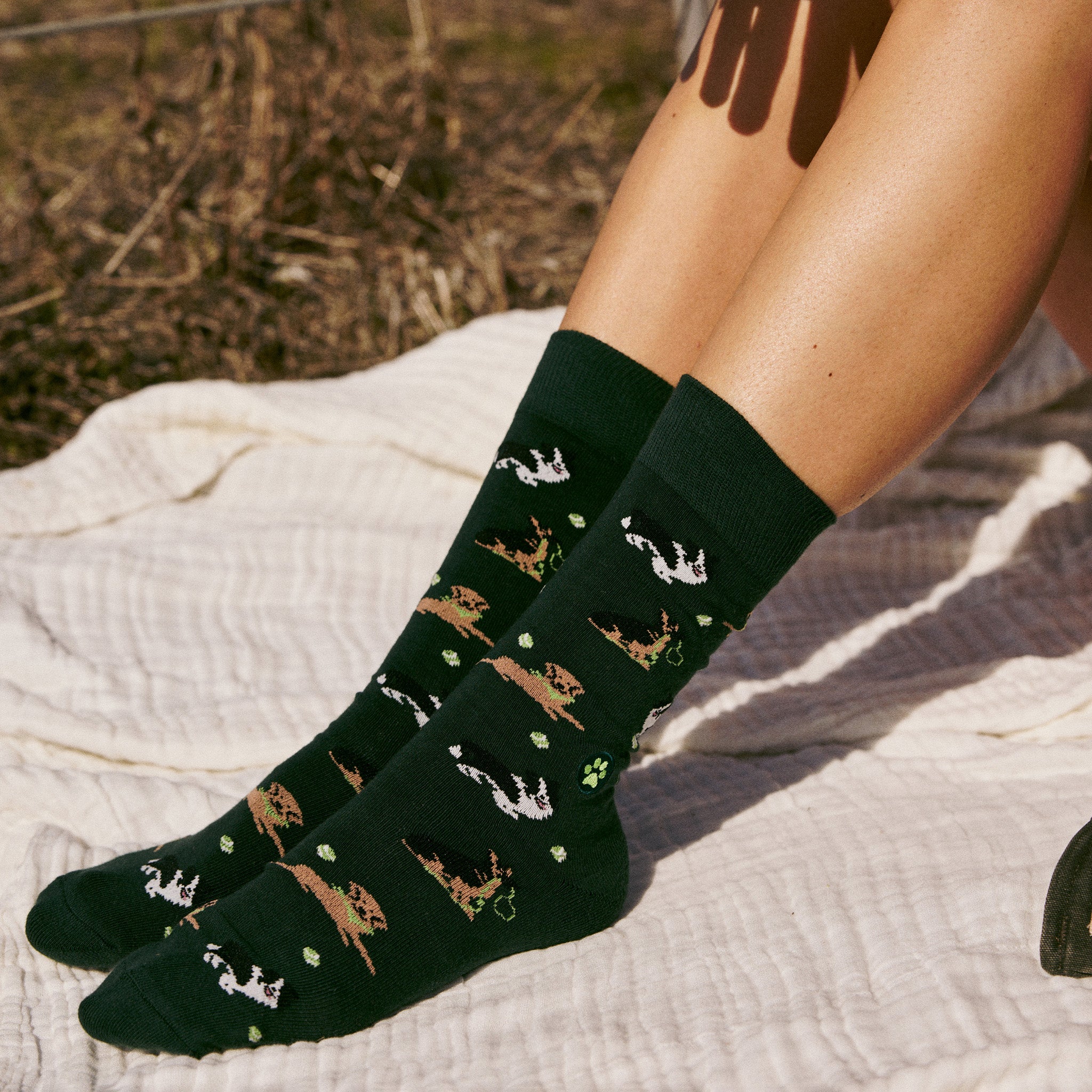 Socks that Save Dogs - Conscious Step