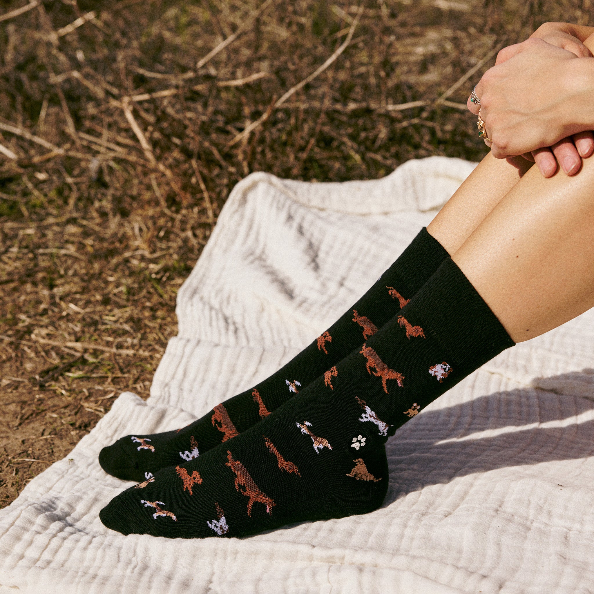 Socks that Save Dogs - Conscious Step