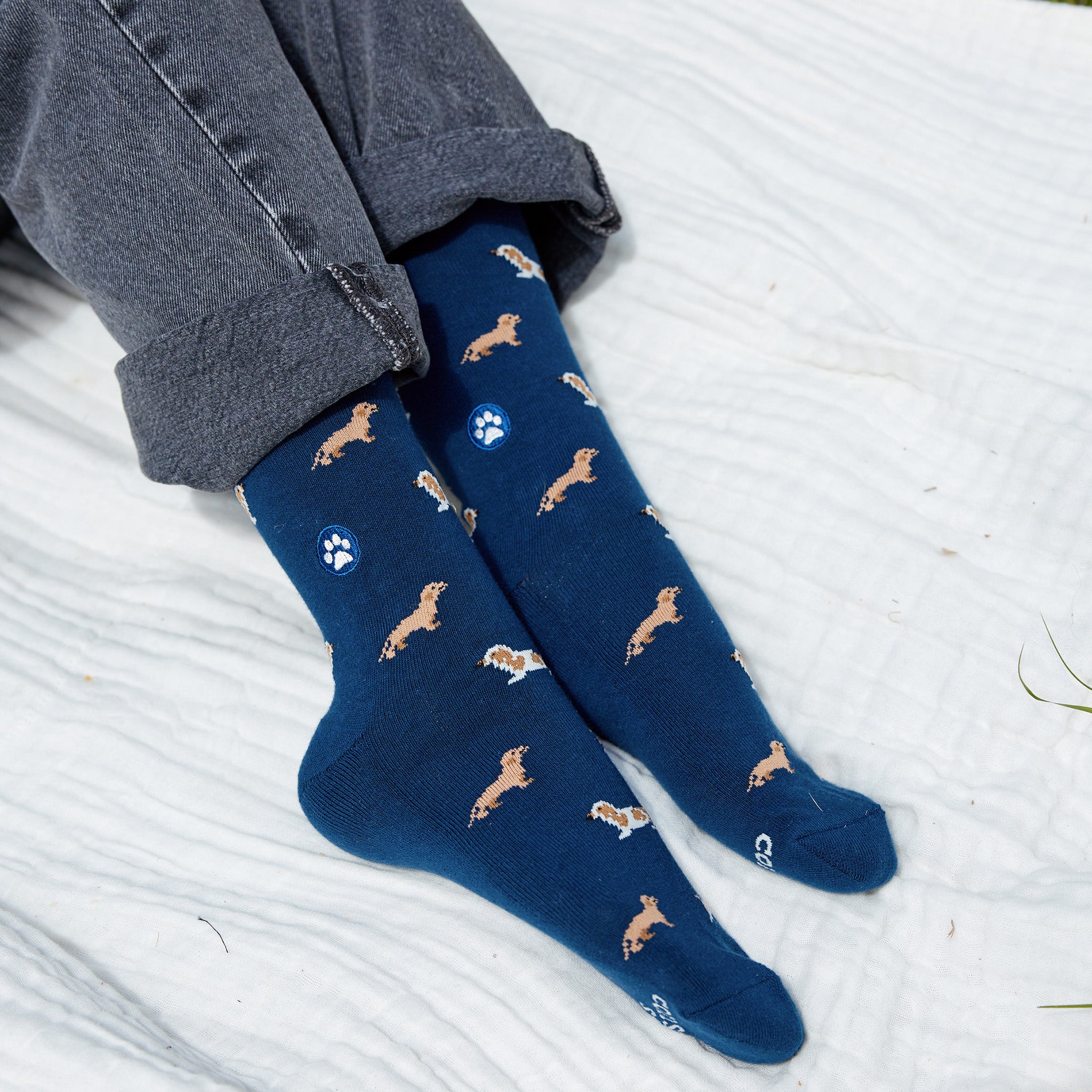 Socks that Save Dogs