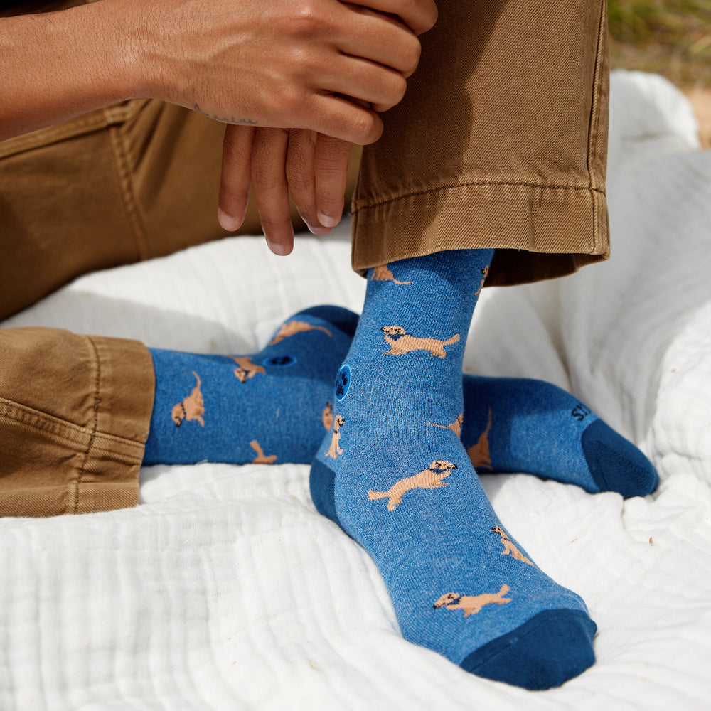 Socks that Save Dogs - Conscious Step