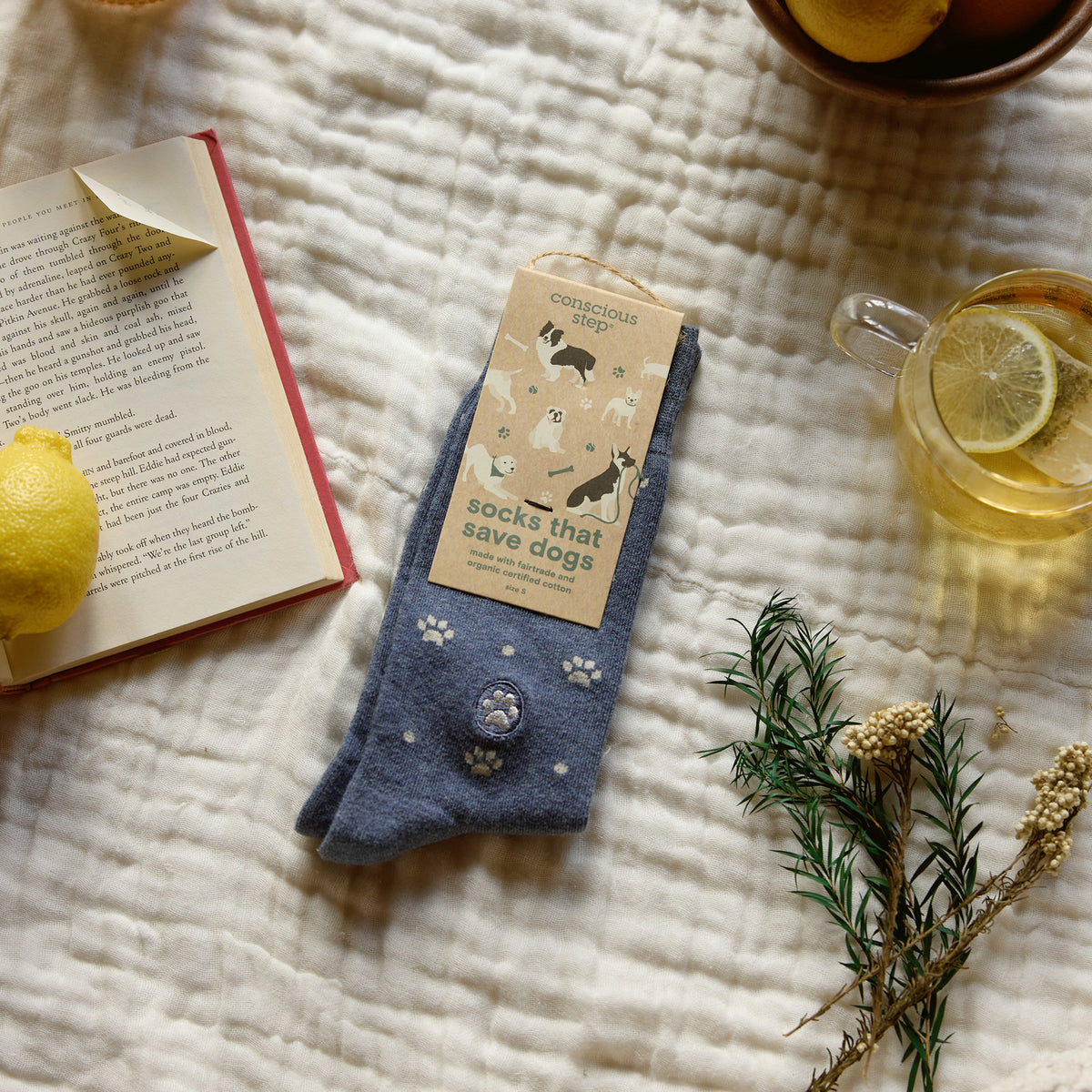 Socks that Save Dogs - Conscious Step