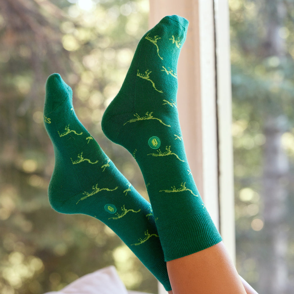 Socks that Give Books - Conscious Step