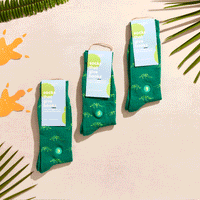 Socks that Give Books - Conscious Step