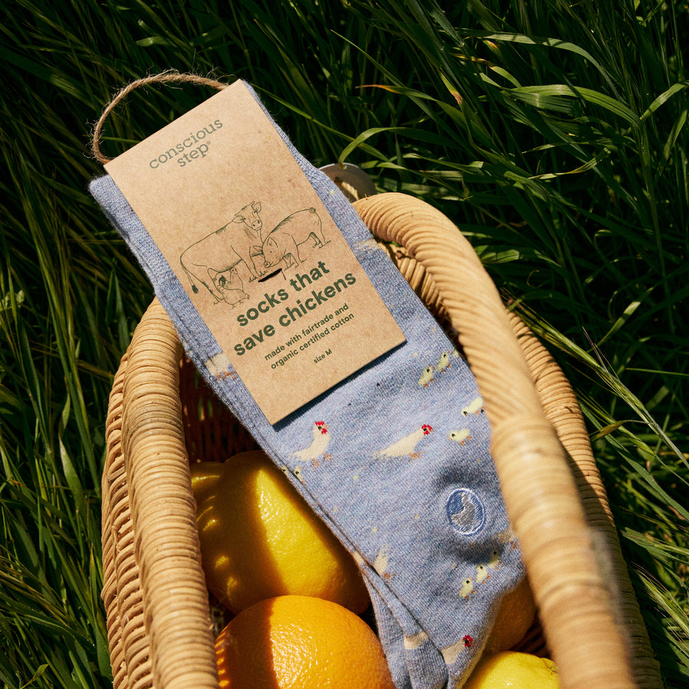 Socks that Save Chickens - Conscious Step