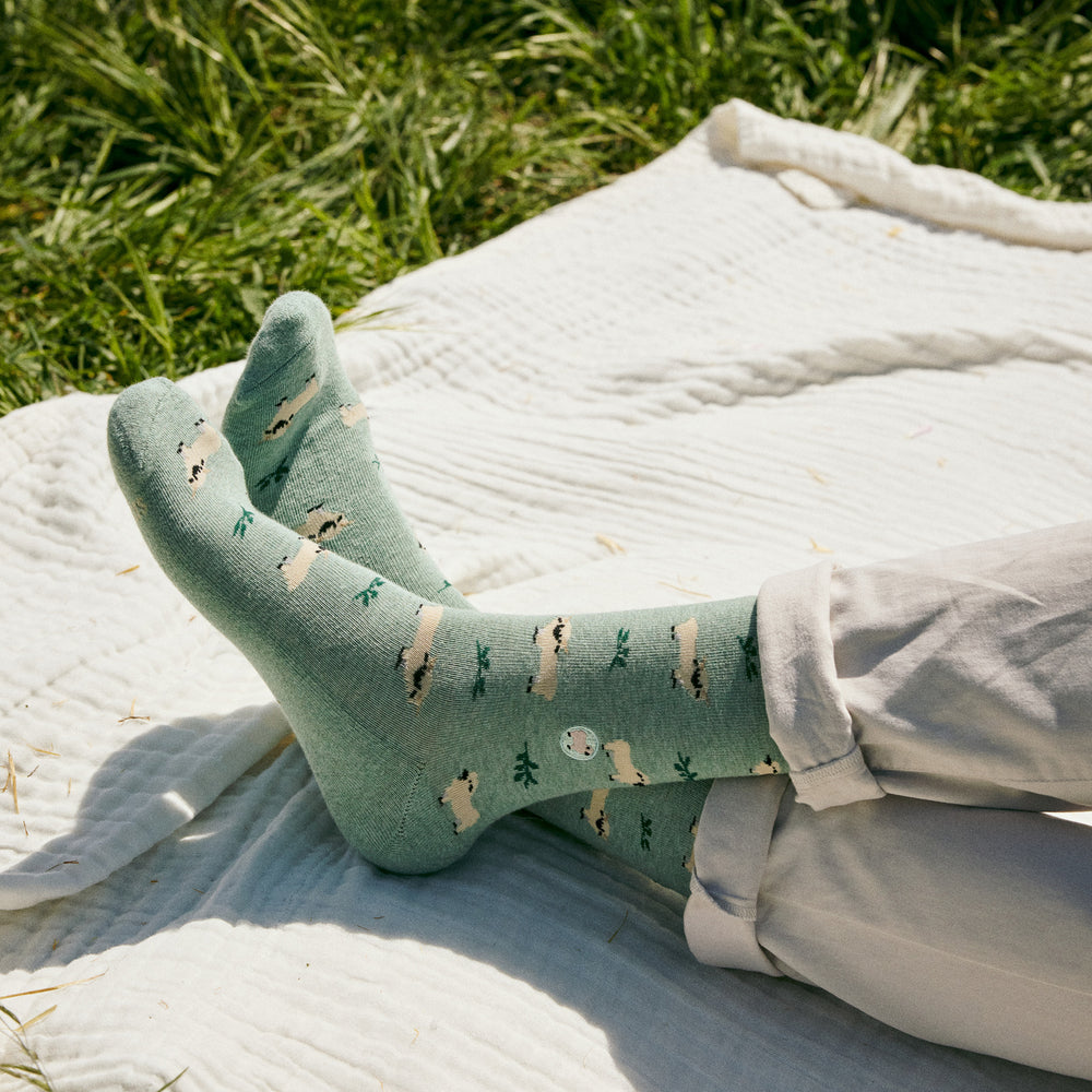 Socks that Save Sheep - Conscious Step