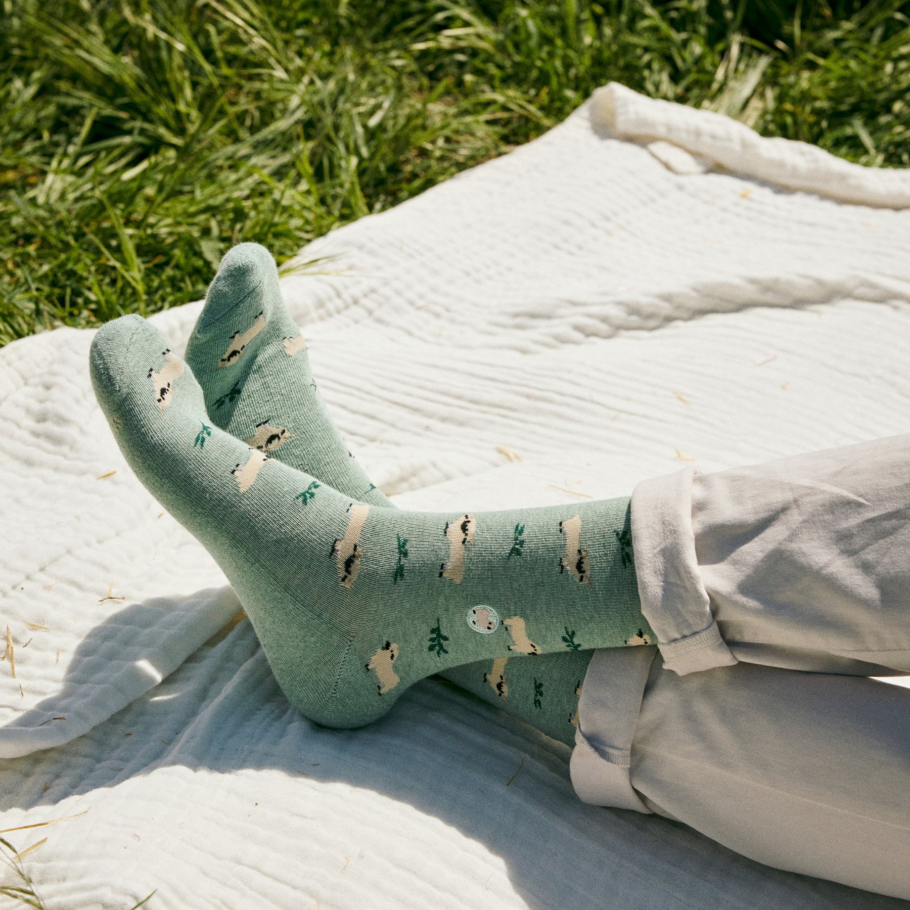 Socks that Save Sheep - Conscious Step