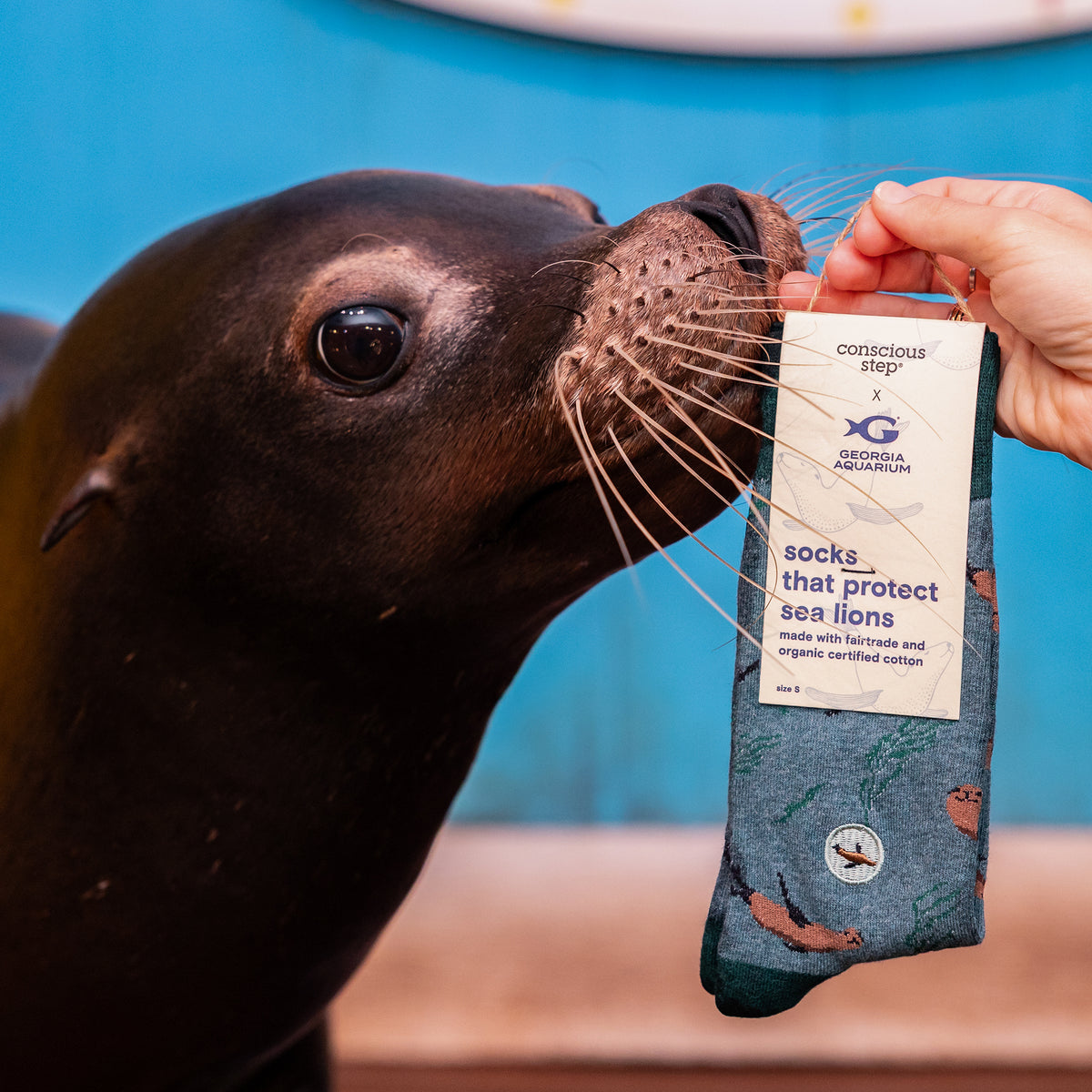 Socks that Protect Sea Lions
