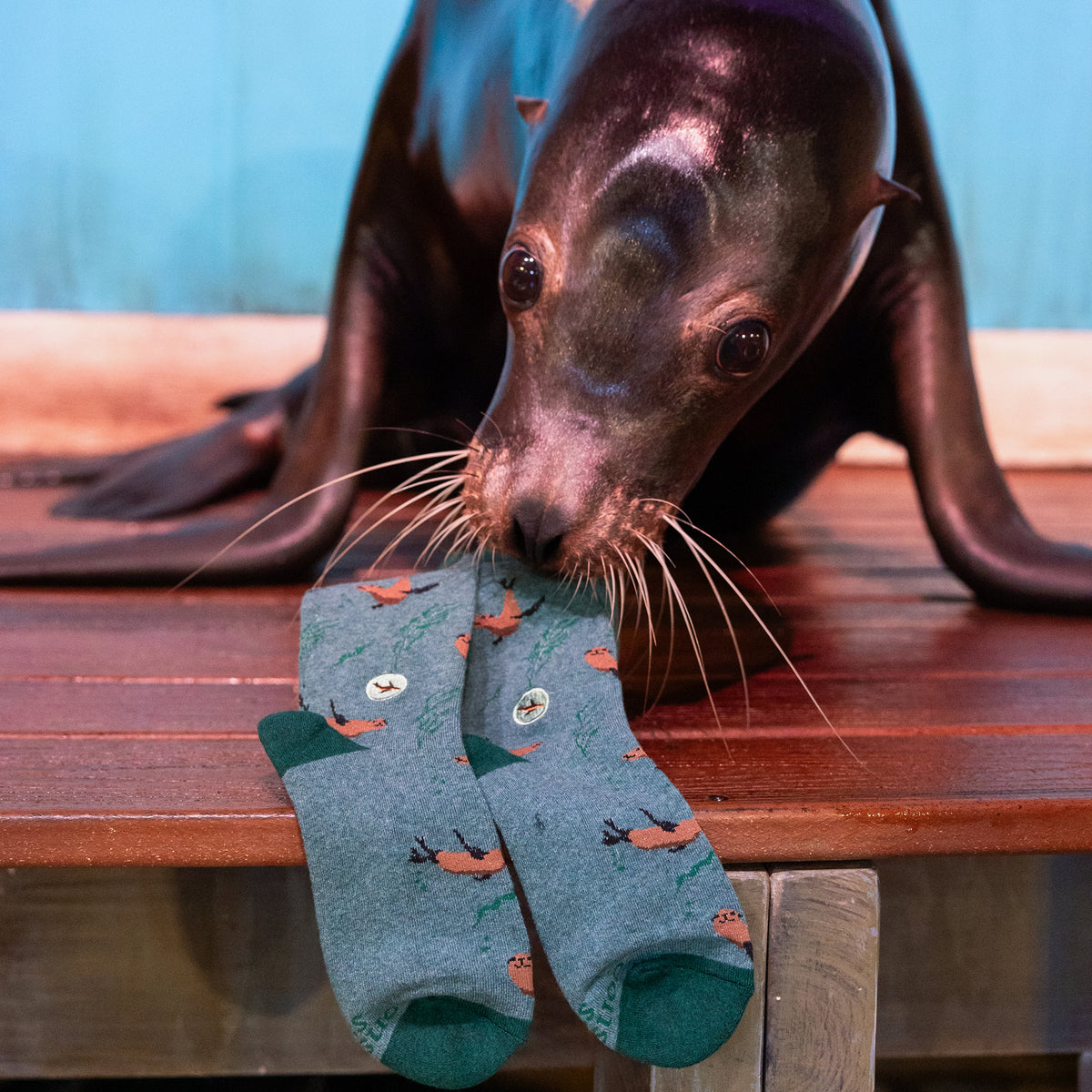 Socks that Protect Sea Lions