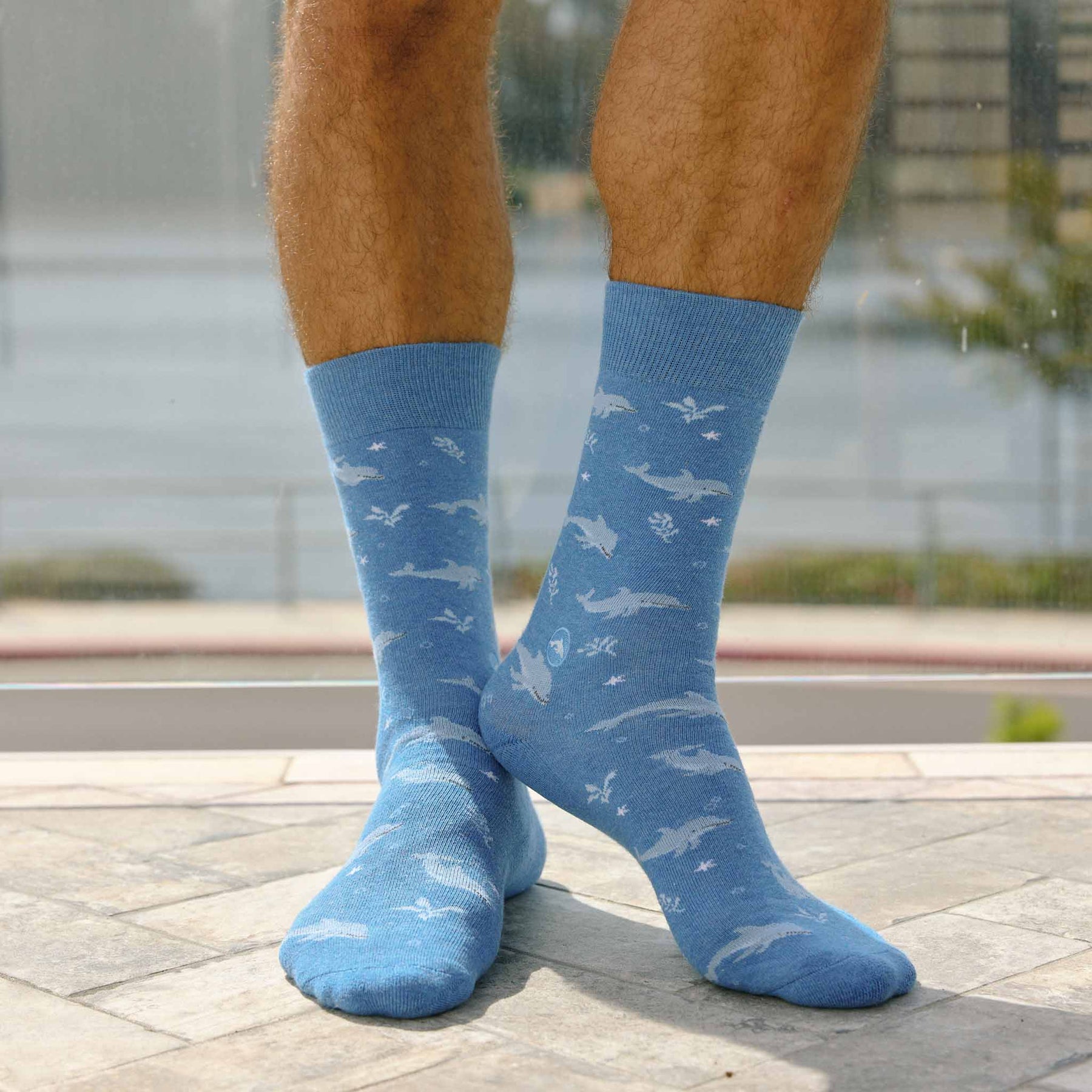 Socks that Protect Dolphins