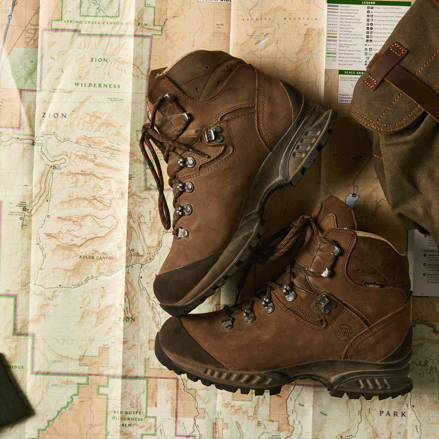 Socks that Protect Bears - Conscious Step