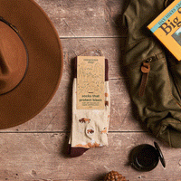 Socks that Protect Bison - Conscious Step