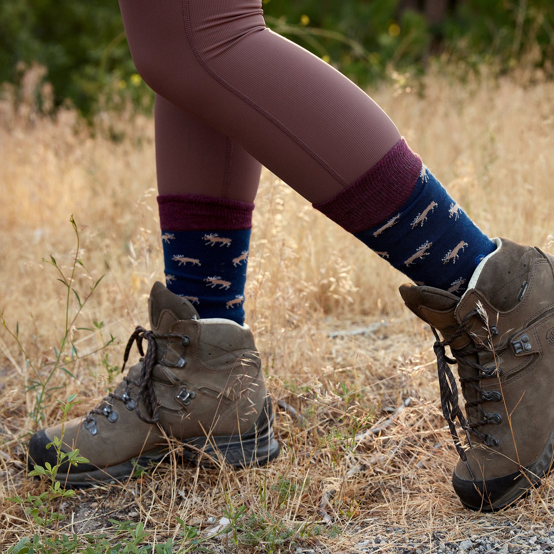 Socks that Protect Moose - Conscious Step